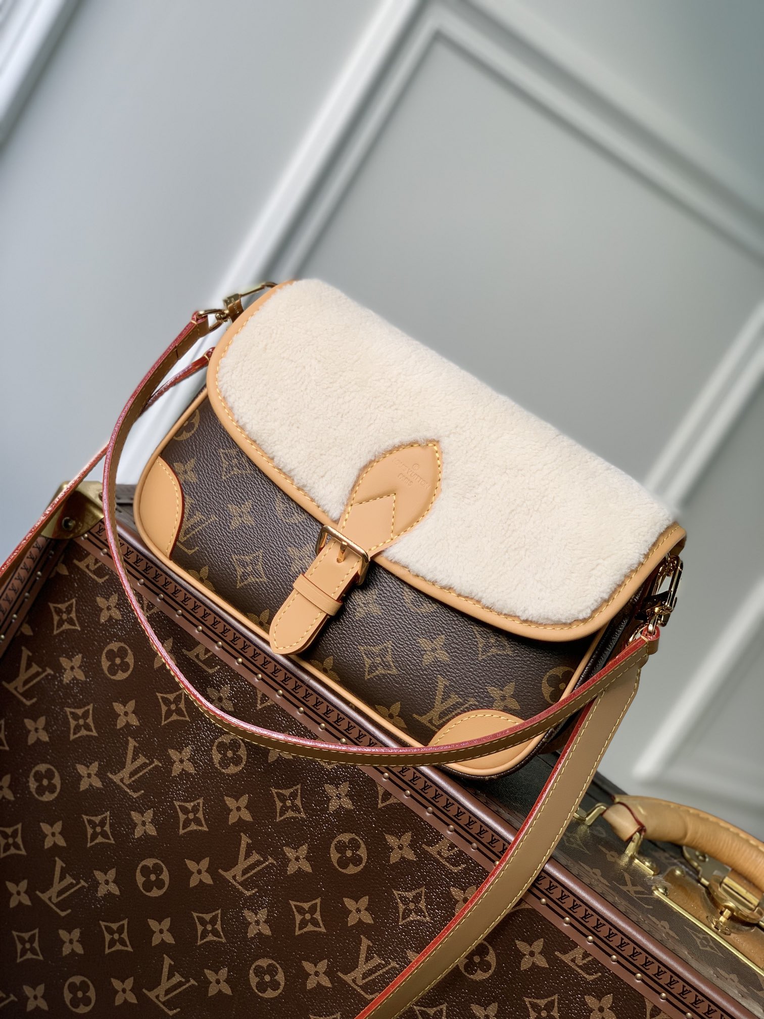 LV Satchel bags